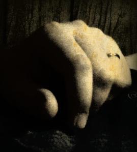 36304_544356902258038_533063063_n